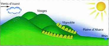 les_vosges_cote_alsacien